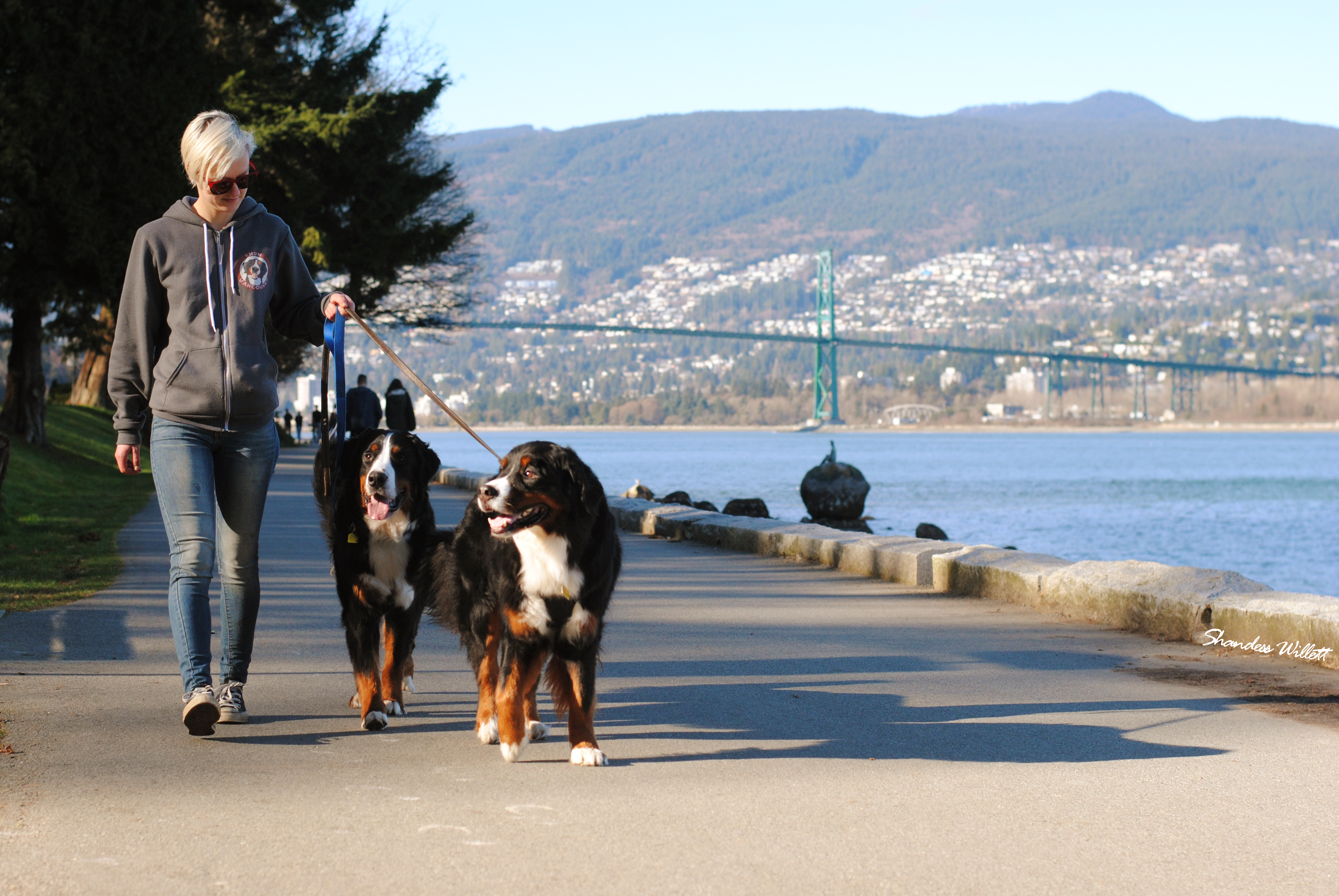 15985893094_8e31cdcf00_o